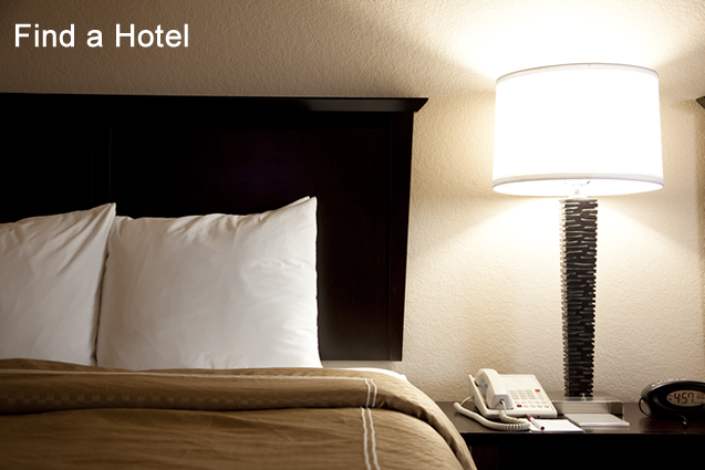 Search Hotels